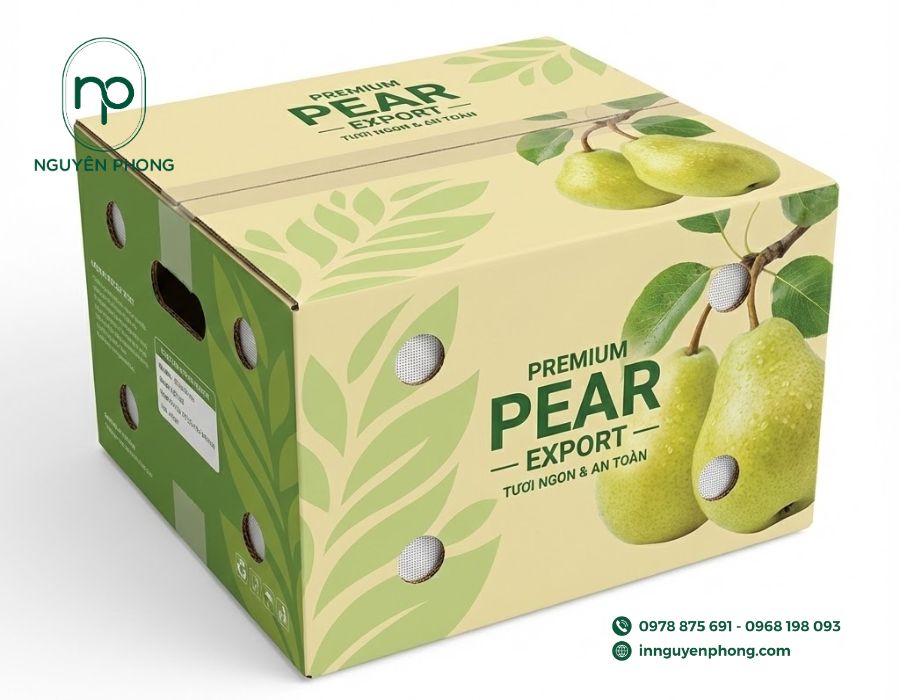 in thùng carton đựng lê